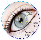 Eye with Contact Lens