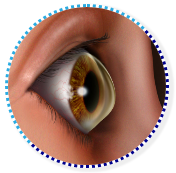 Eye Cornea Services